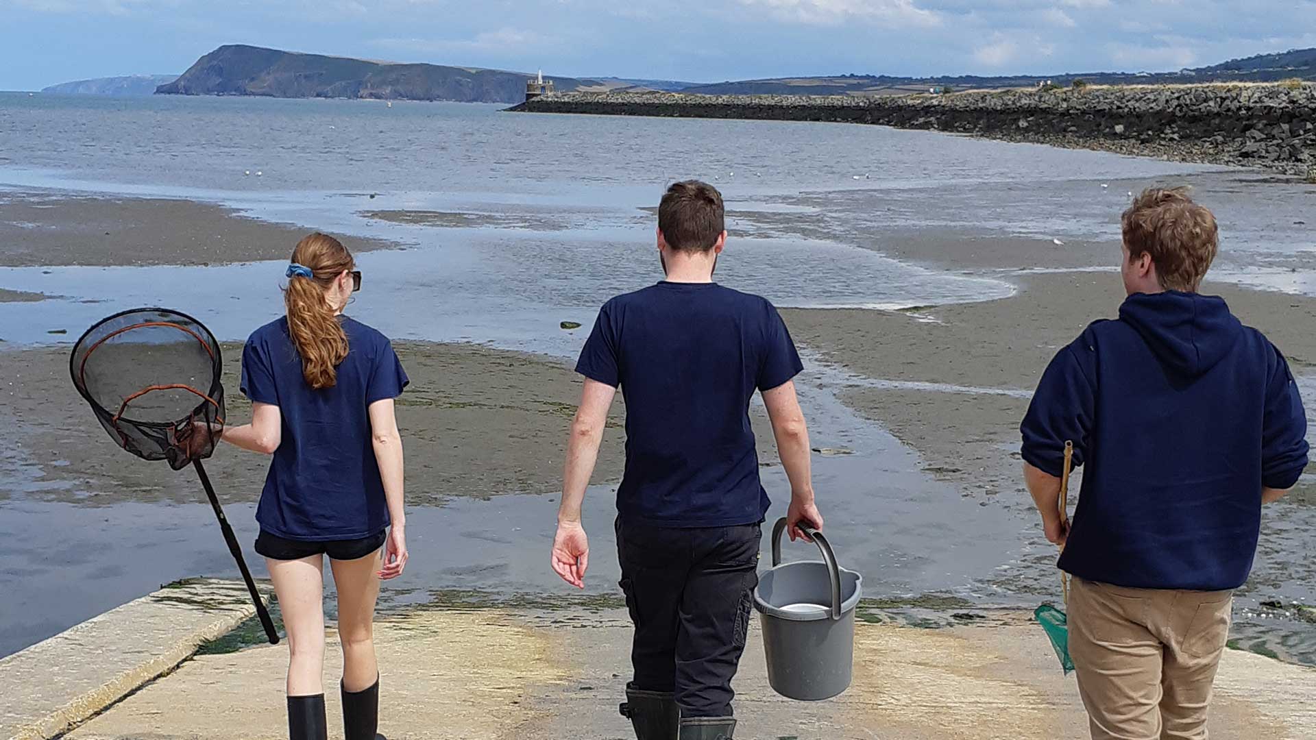Aquarium Maintanence Volunteers Rockpooling Photo By Sea Trust Wales